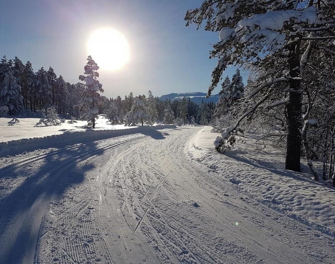 A snowy landscape with a clear sky and a sunlit path.