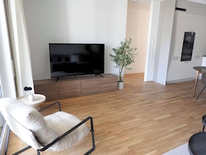 Fernseher, Arbeitsbereiche