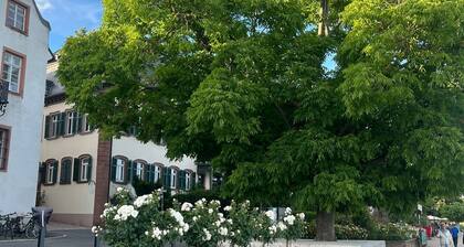 Luxury 4-Room Apt in Boutique-Style I Prime Location I Family-Friendly I Balcony I Kitchen I Netflix I Free Parking I 110 m2