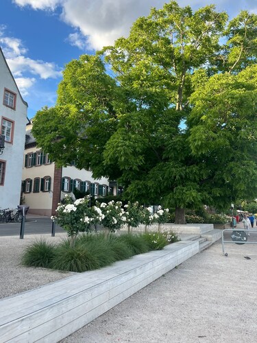 Luxuriöses 4-Zimmer-Apt im Boutique-Stil I Top-Lage I Familienfreundlich I Balkon I Küche I Netflix I Kostenloser Parkplatz I 105 m2