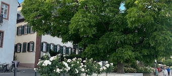 Luxury 4-Room Apt in Boutique-Style I Prime Location I Family-Friendly I Balcony I Kitchen I Netflix I Free Parking I 105 m2