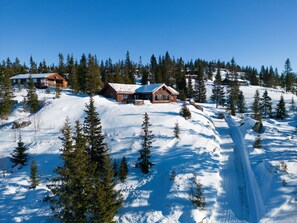 A snow-covered mountain with wooden cabins and a ski slope.