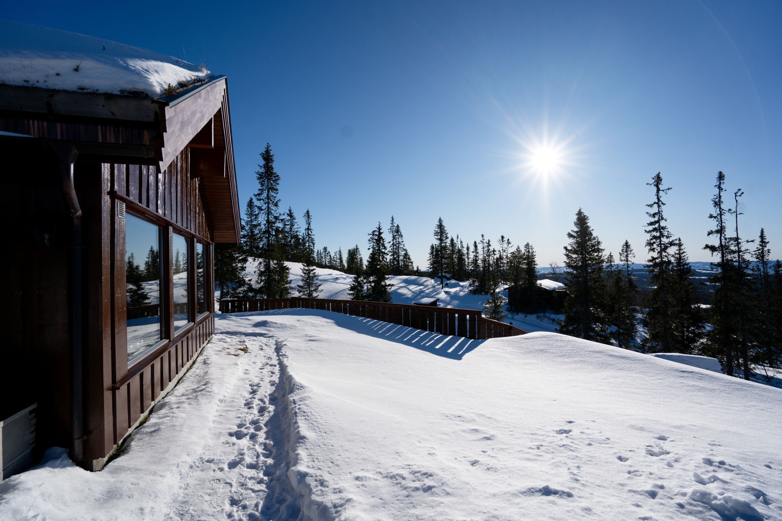 Eine Holzhütte mit großen Fenstern, umgeben von verschneitem Gelände und Bäumen, unter blauem Himmel.