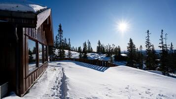 Eine Holzhütte mit großen Fenstern, umgeben von verschneitem Gelände und Bäumen, unter blauem Himmel.