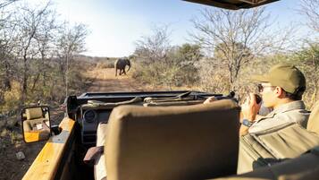 A safari vehicle interior with a person using binoculars, a map, and a GPS device.