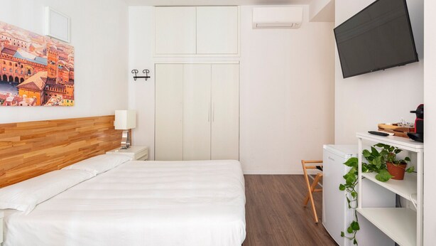 Ein Schlafzimmer mit Bett, Nachttisch, Fernseher, Kleiderschrank und einer Pflanze.