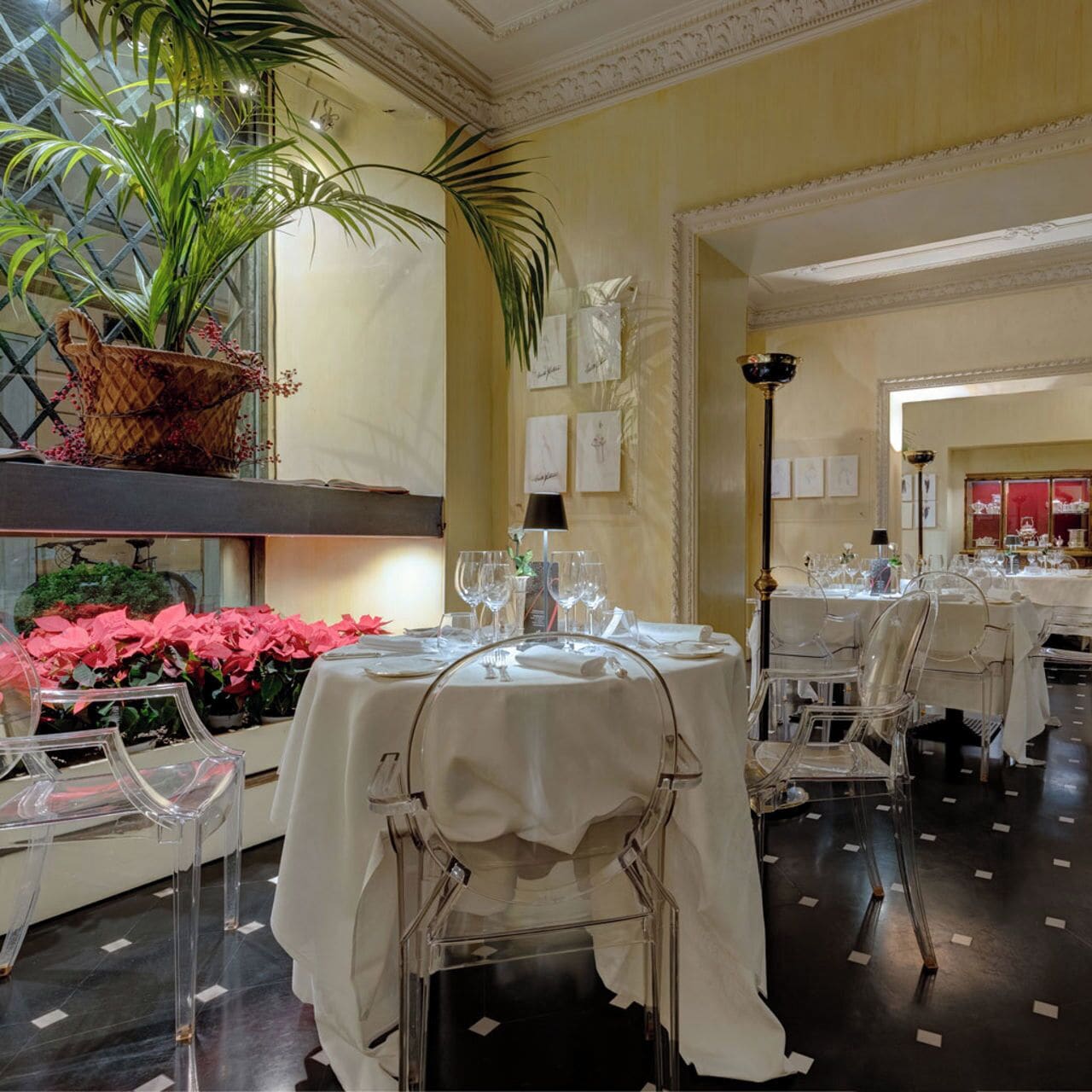 Un comedor con mesas redondas, sillas traslúcidas y una planta decorativa.
