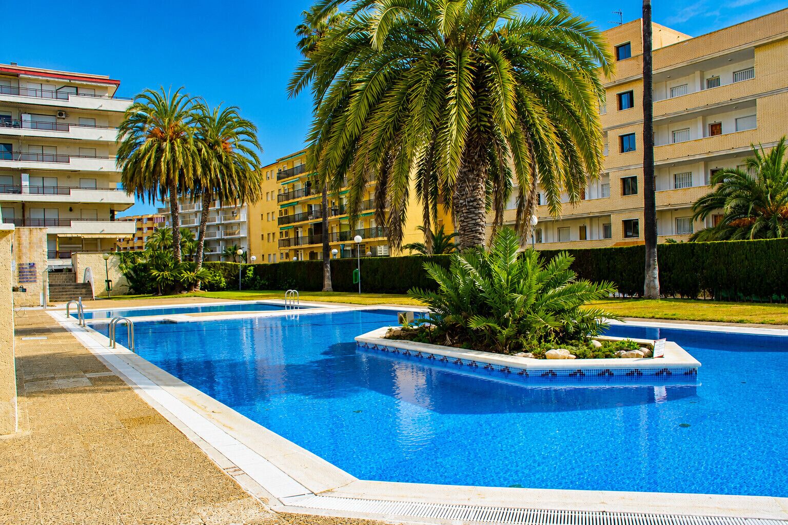 Une piscine entourée de palmiers et un immeuble à plusieurs étages doté de balcons.