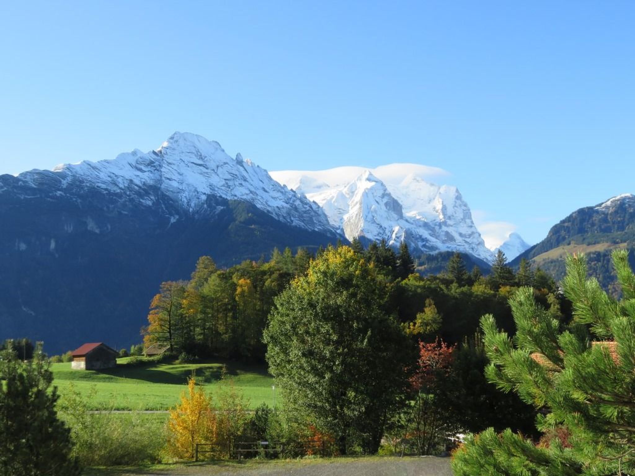 A mountainous landscape with a snow-capped peak, a small building, and a variety of trees in the foreground.