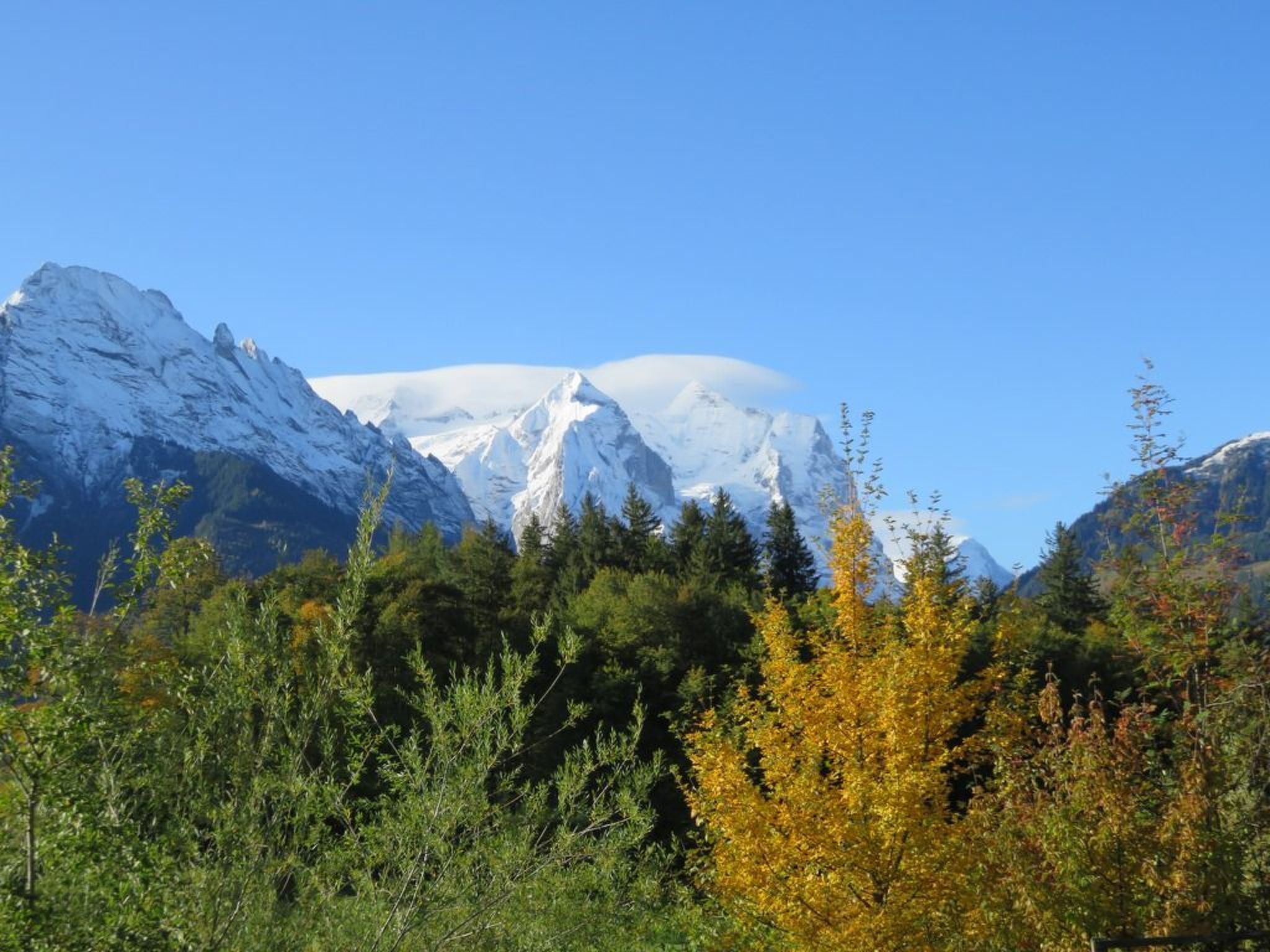 Een bergachtig landschap met besneeuwde toppen en dicht bos op de voorgrond.