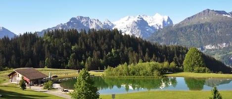 Una propiedad frente al lago con una cabaña, vistas despejadas de montañas nevadas y una ladera boscosa.