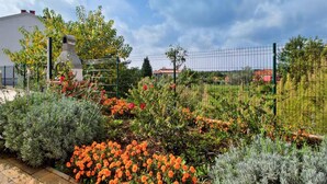 Un jardín con diversas plantas y flores, una cerca de metal y un edificio al fondo.