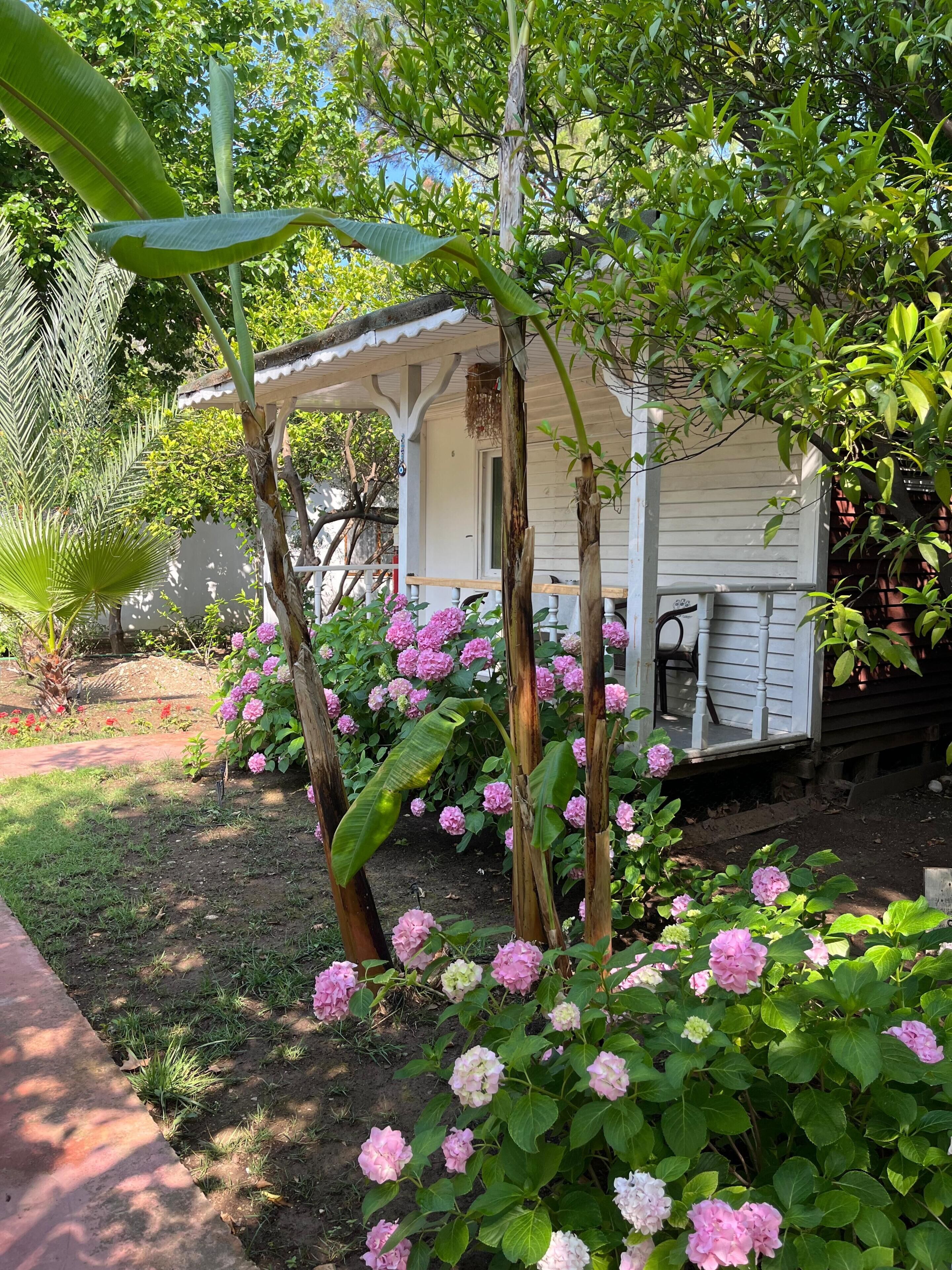 Standard Bungalow, Balcony, Garden View | Exterior detail