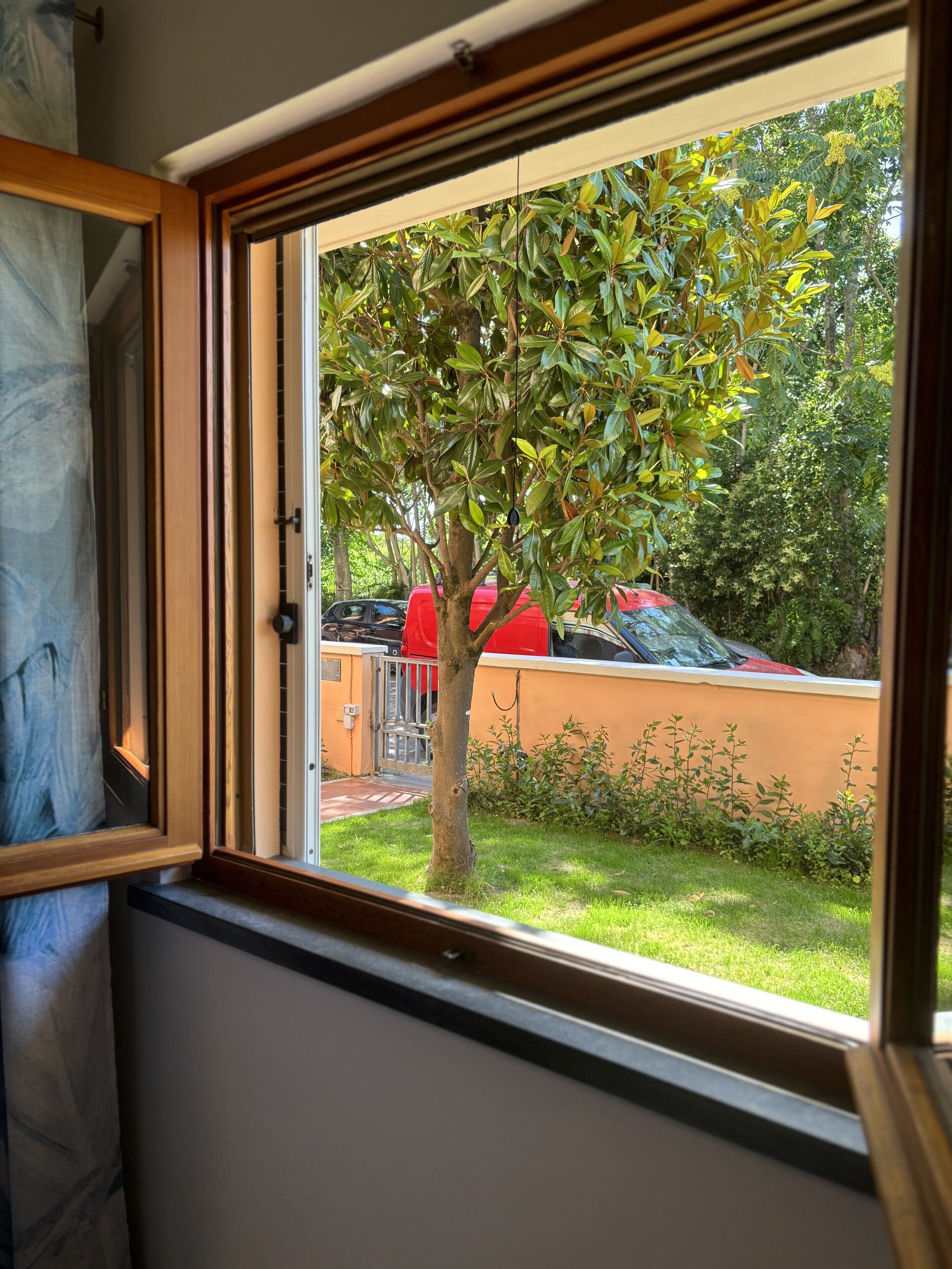 Una ventana con vista a un árbol y un coche rojo estacionado afuera.
