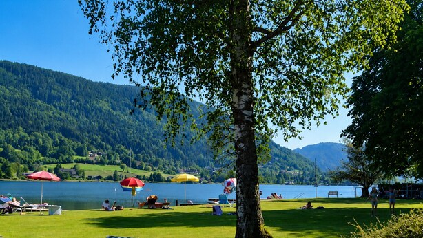 A lakeside park with grass, trees, and a lake. - Panorama Apartment on Lake Ossiach (Steindorf am Ossiacher See)