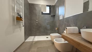 Ducha, secador de pelo y toallas