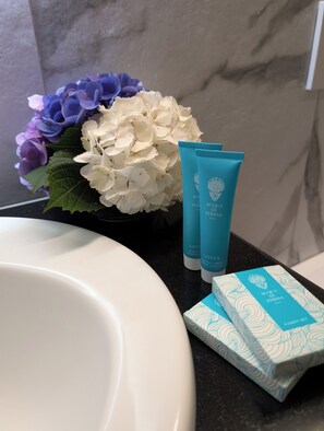 Douche, sèche-cheveux, serviettes fournies, savon