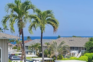 Property grounds - Kona Sea Ridge#P3: Beautiful Remodeled Designer unit w/Ac, No Stairs (Kailua Kona)