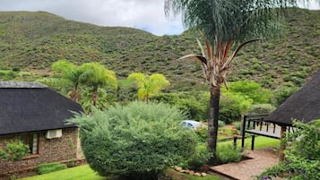 Paisaje rural con una casa de techo de paja, una palmera y una montaña al fondo.