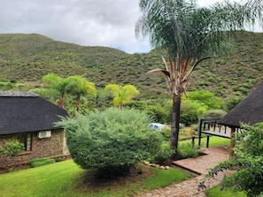 A rural landscape with a thatched-roof house, a palm tree, and a mountain in the background. - Stonebreaker Country Lodge  (Oudtshoorn)