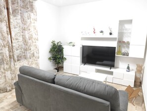 Télévision