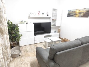 Televisor 