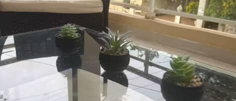 A room with a glass-top table, a black chair with a cushion, and three potted plants.