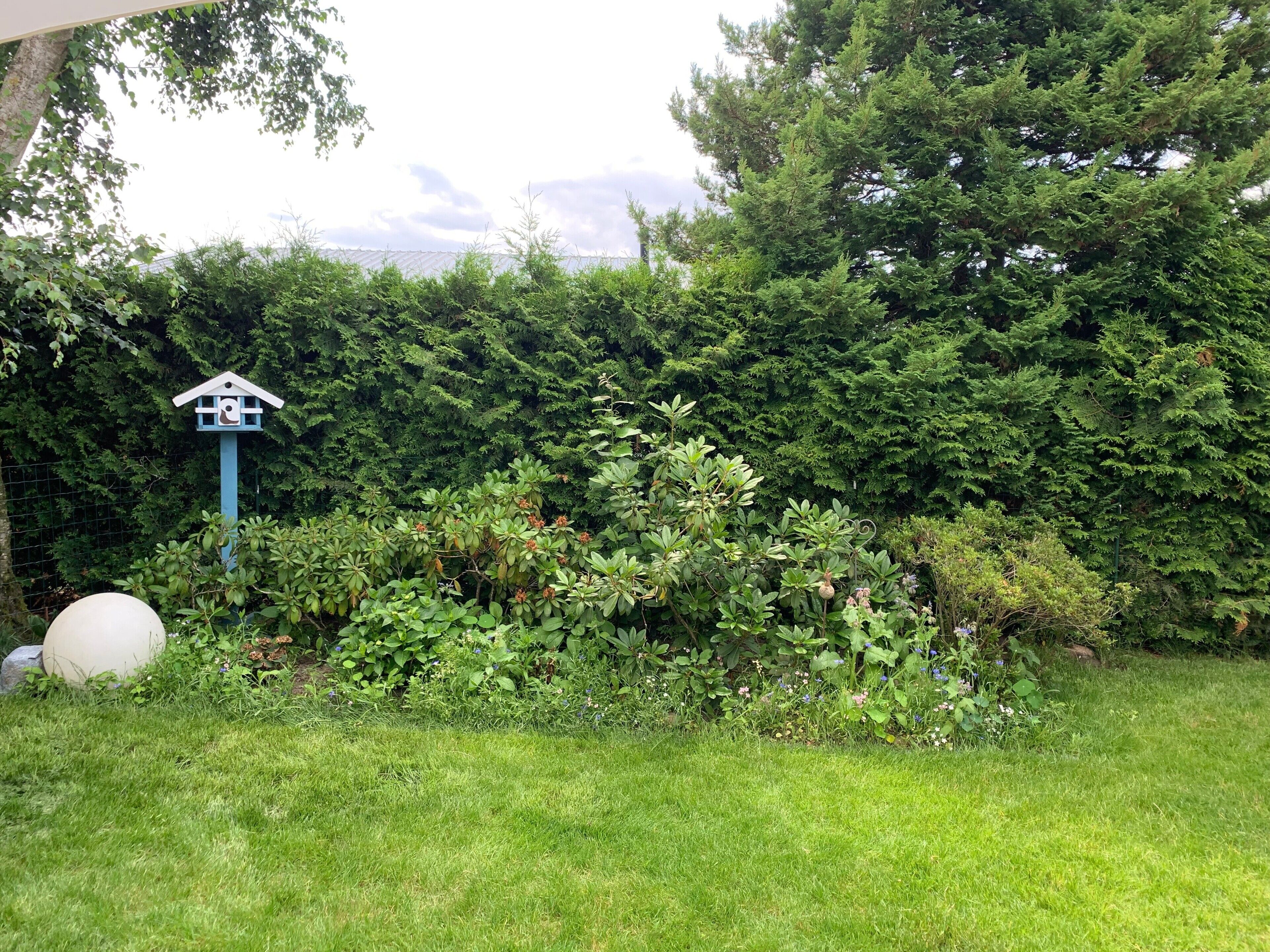 Een tuin met een vogelhuisje, weelderige begroeiing en een grote bolvormige object.
