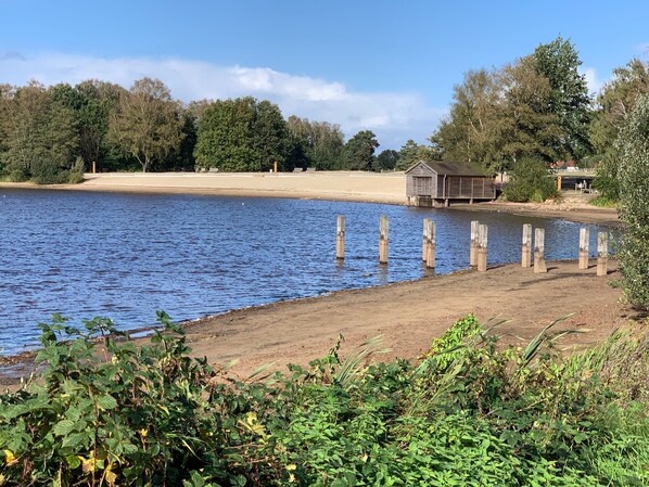A lakeside view with a wooden dock, a small building, and dense greenery.
