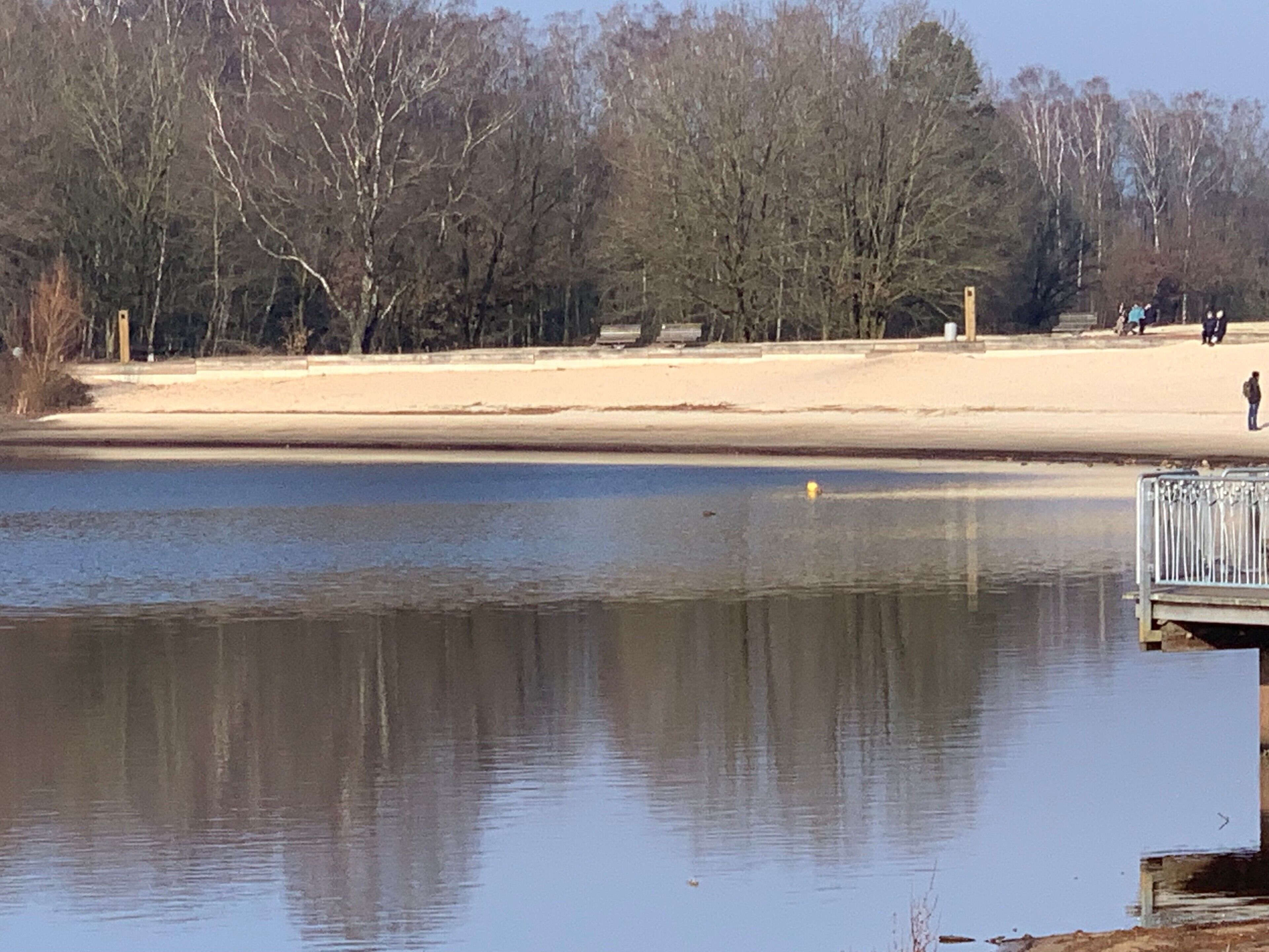 A calm lake with a sandy beach and trees in the background.