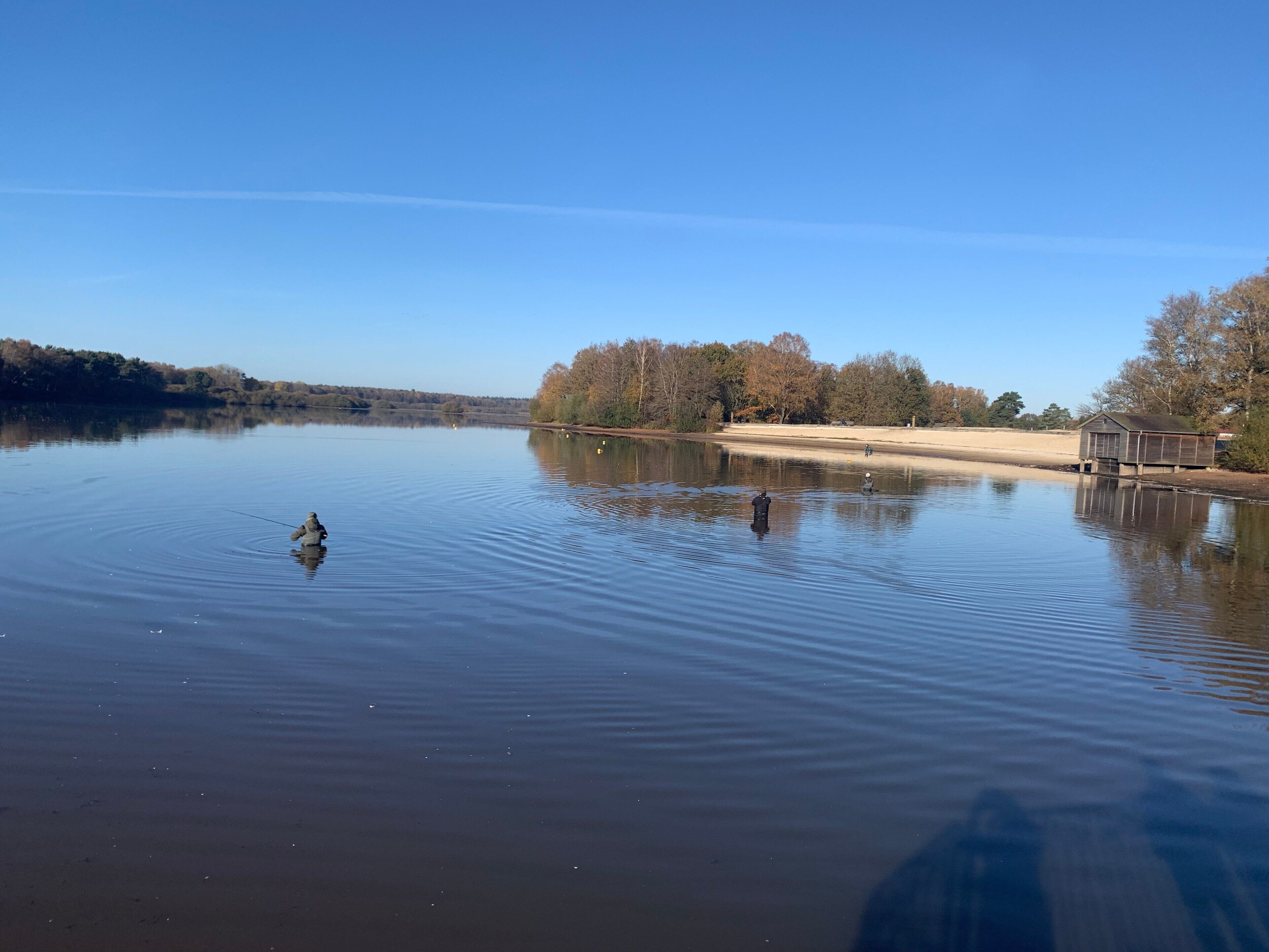Un lago tranquilo con un muelle y una pequeña construcción, rodeado de árboles y un cielo despejado.