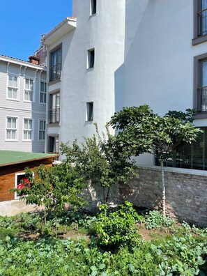 Unclassified image, 2 of 45, button -  Hotel Lina Oldcity  (Istanbul)