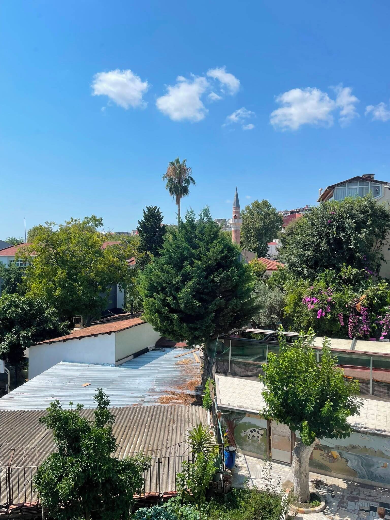 A residential area with a variety of buildings, including a house with a corrugated metal roof and a tree in the foreground.
