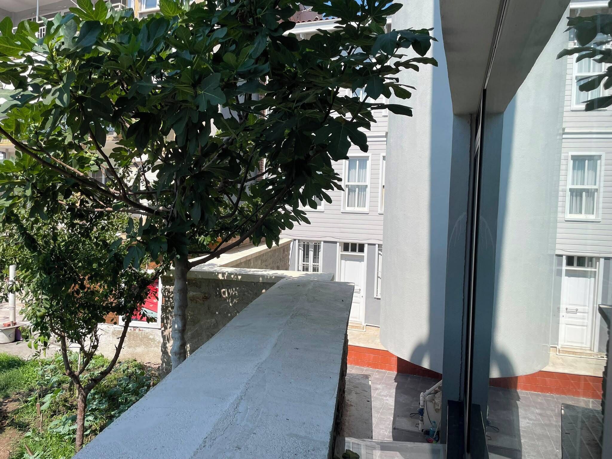 A balcony with a view of a residential building and a tree.