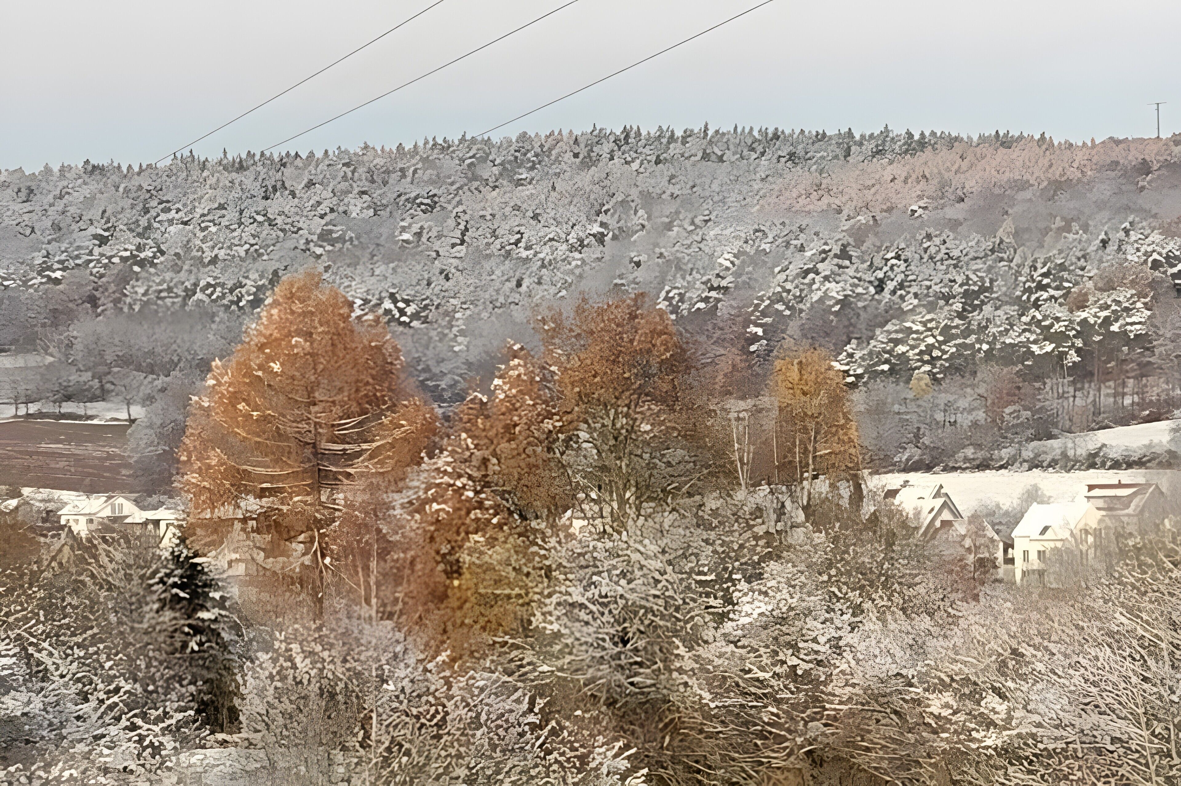 Eine ländliche Landschaft mit schneebedeckten Bäumen und Häusern.