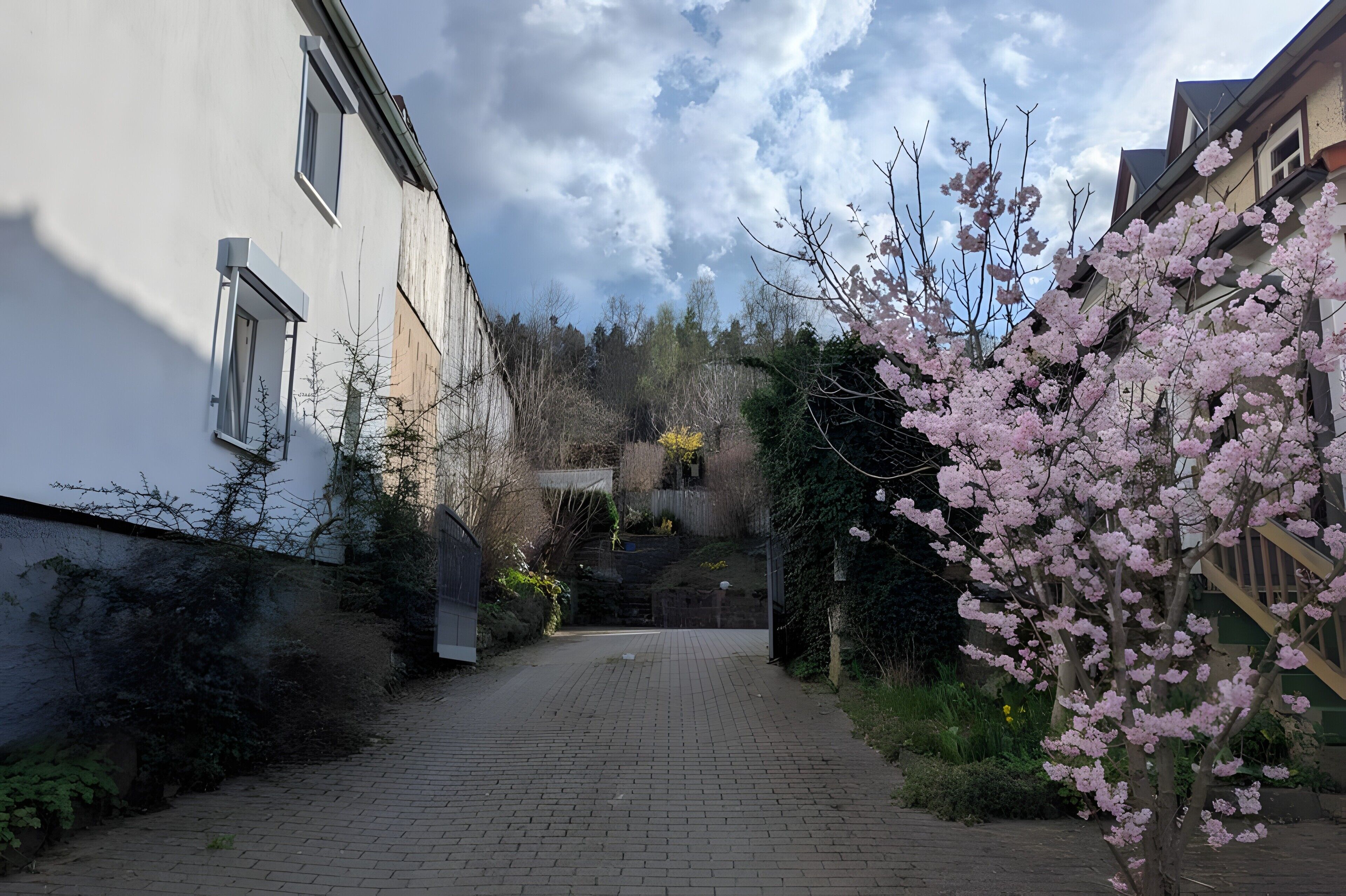 Un étroit sentier pavé mène à un bâtiment à la façade blanche et doté de nombreuses fenêtres.
