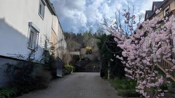 Un étroit sentier pavé mène à un bâtiment à la façade blanche et doté de nombreuses fenêtres.