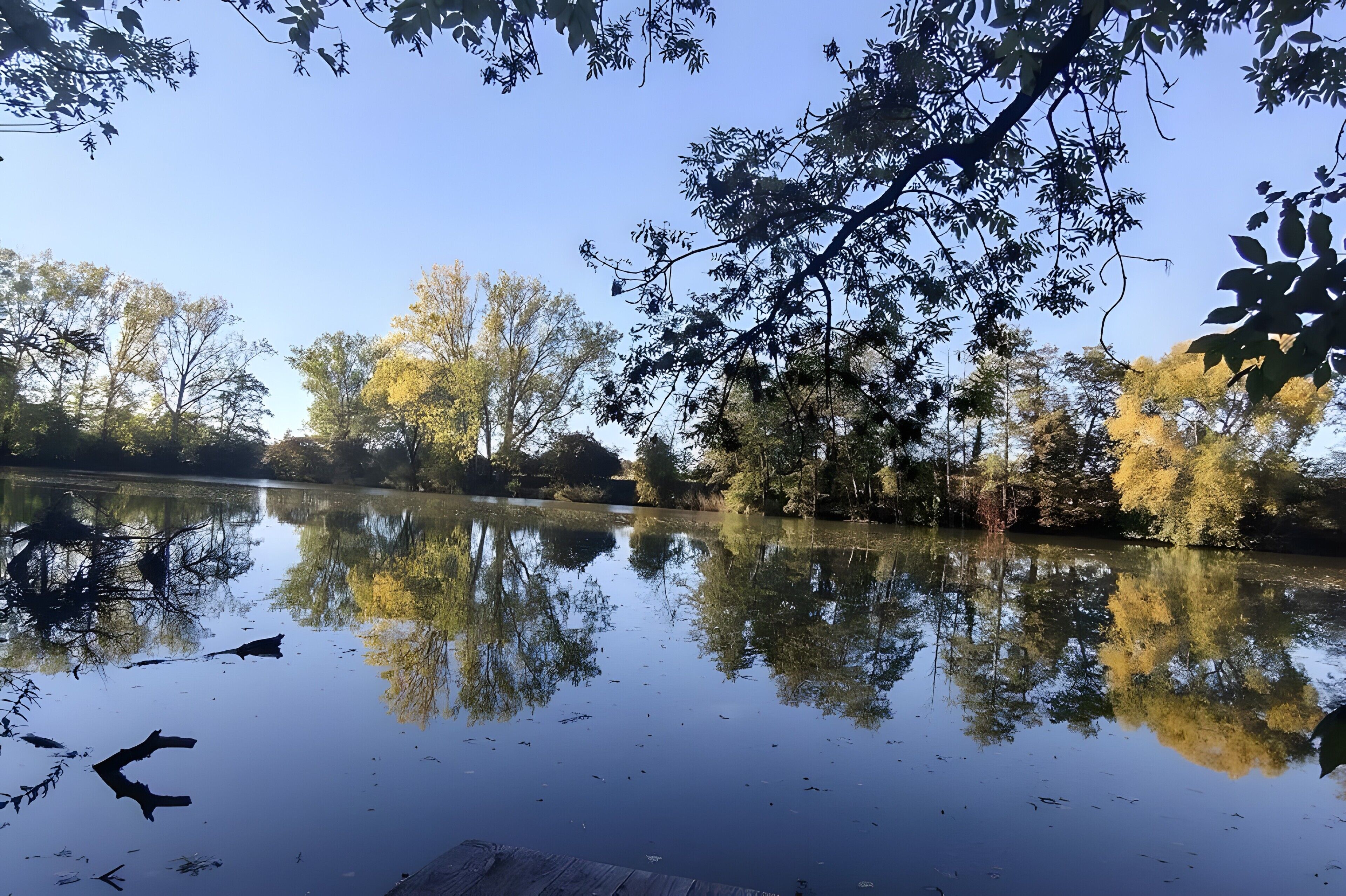 A calm lake with reflections of trees and a dock.