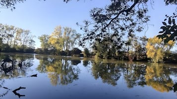 A calm lake with reflections of trees and a dock.