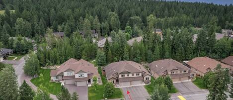 A residential area with houses, a driveway, and a forested mountain backdrop.