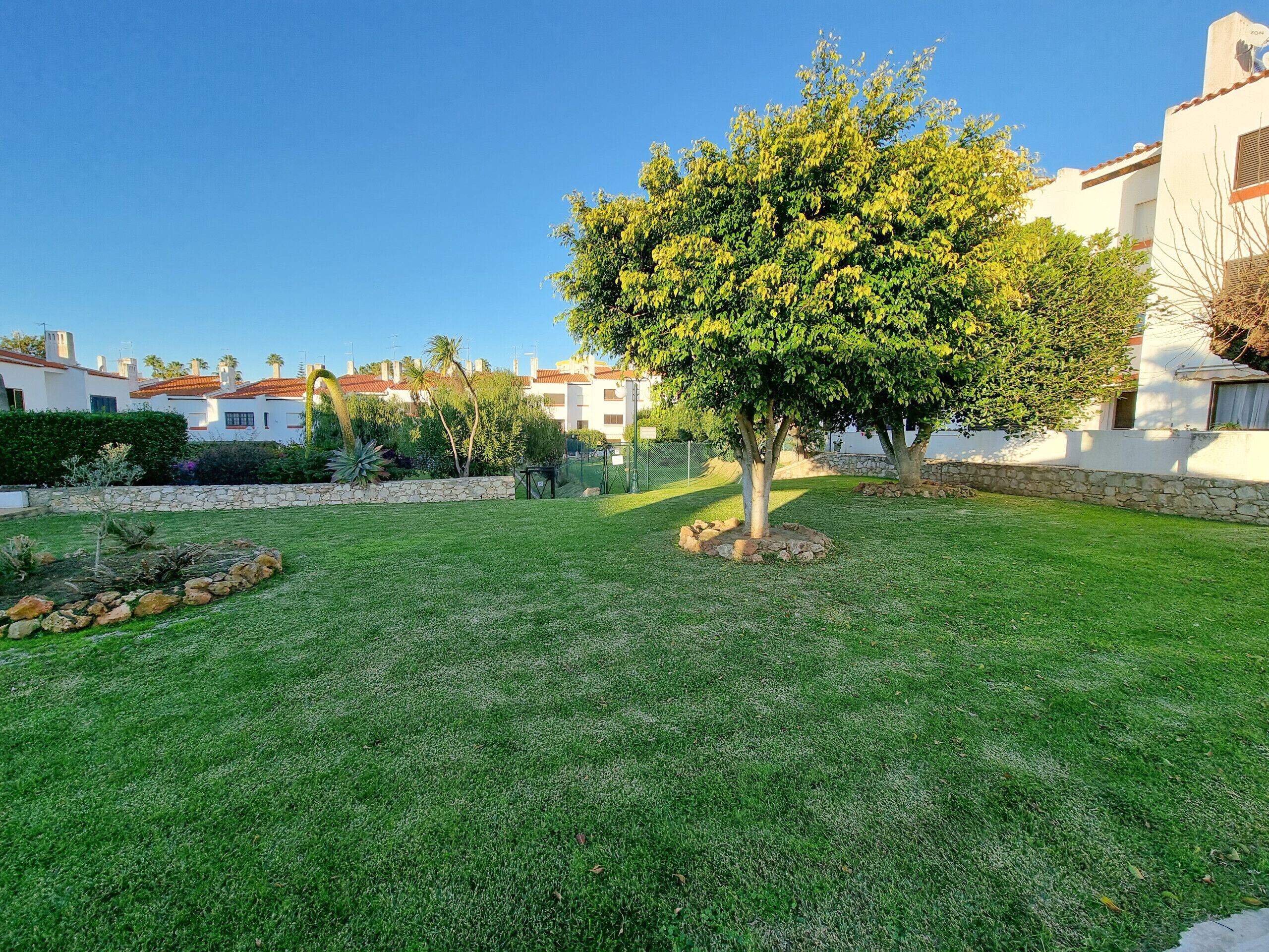Zona verde bien cuidada con un árbol, un muro de piedra y vistas a edificios residenciales al fondo.
