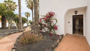 Sisäpiha, jossa on palmuja, kaktus ja bougainvillea-pensaita.