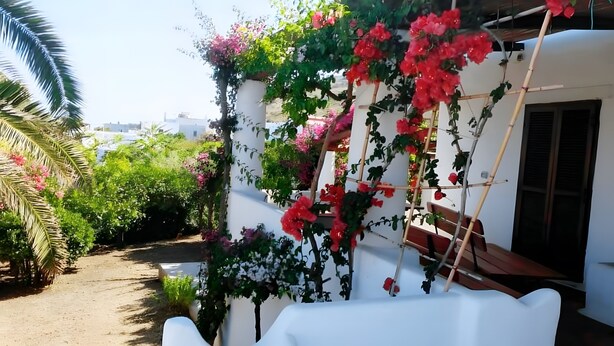 A white building with a balcony, a wooden bench, and a wall covered in flowering vines. - Casa Marel - Stromboli: Independent House with Garden and Two Terraces (Stromboli)
