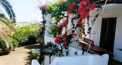 Casa Marel - Stromboli: Independent House with Garden and Two Terraces