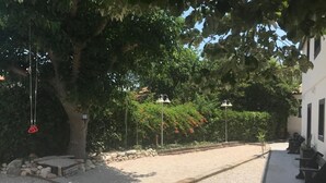 Une cour avec un chemin de gravier, des bancs et un arbre.