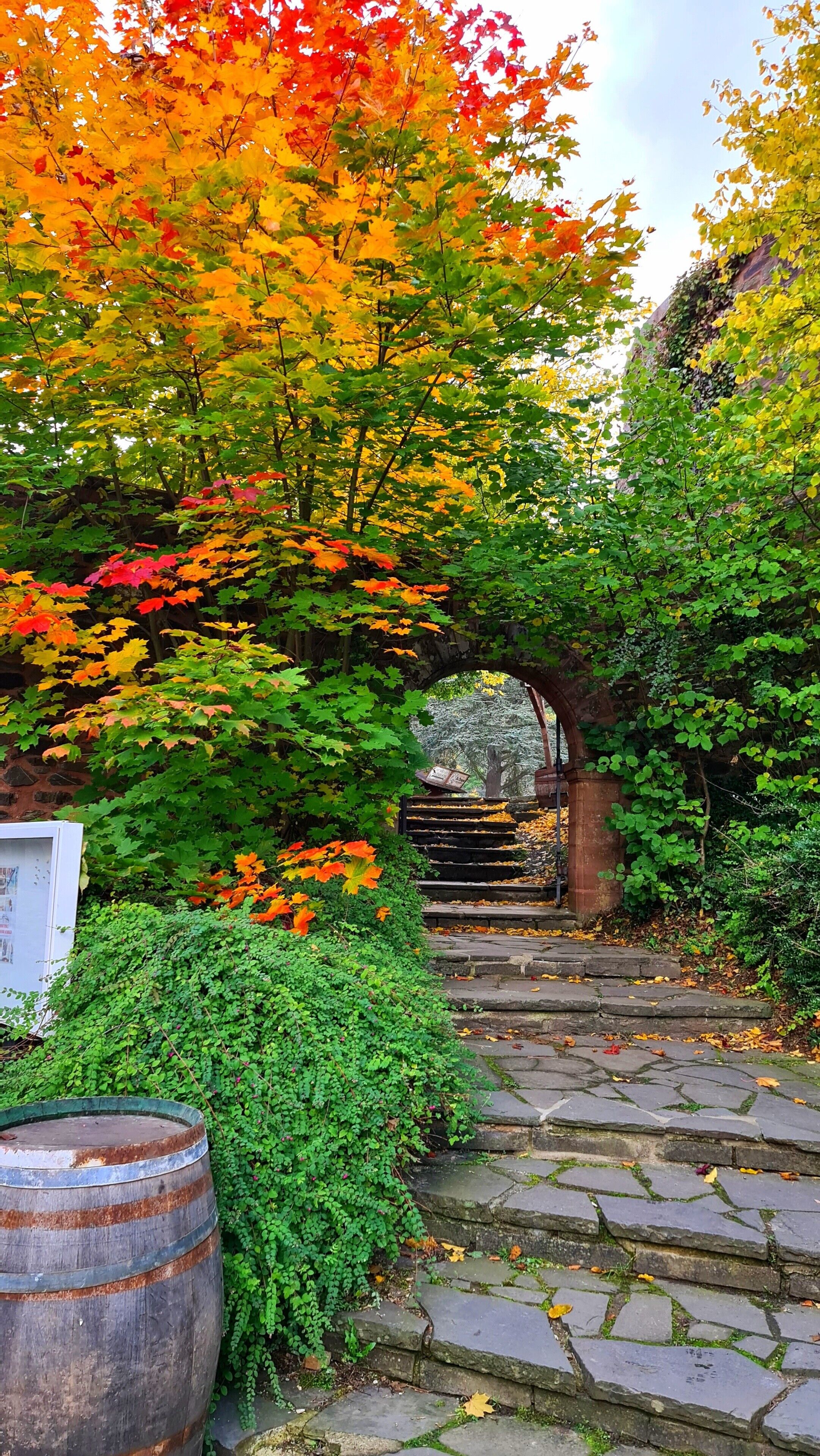 A stone pathway leading through a garden with a metal barrel and a brick archway.