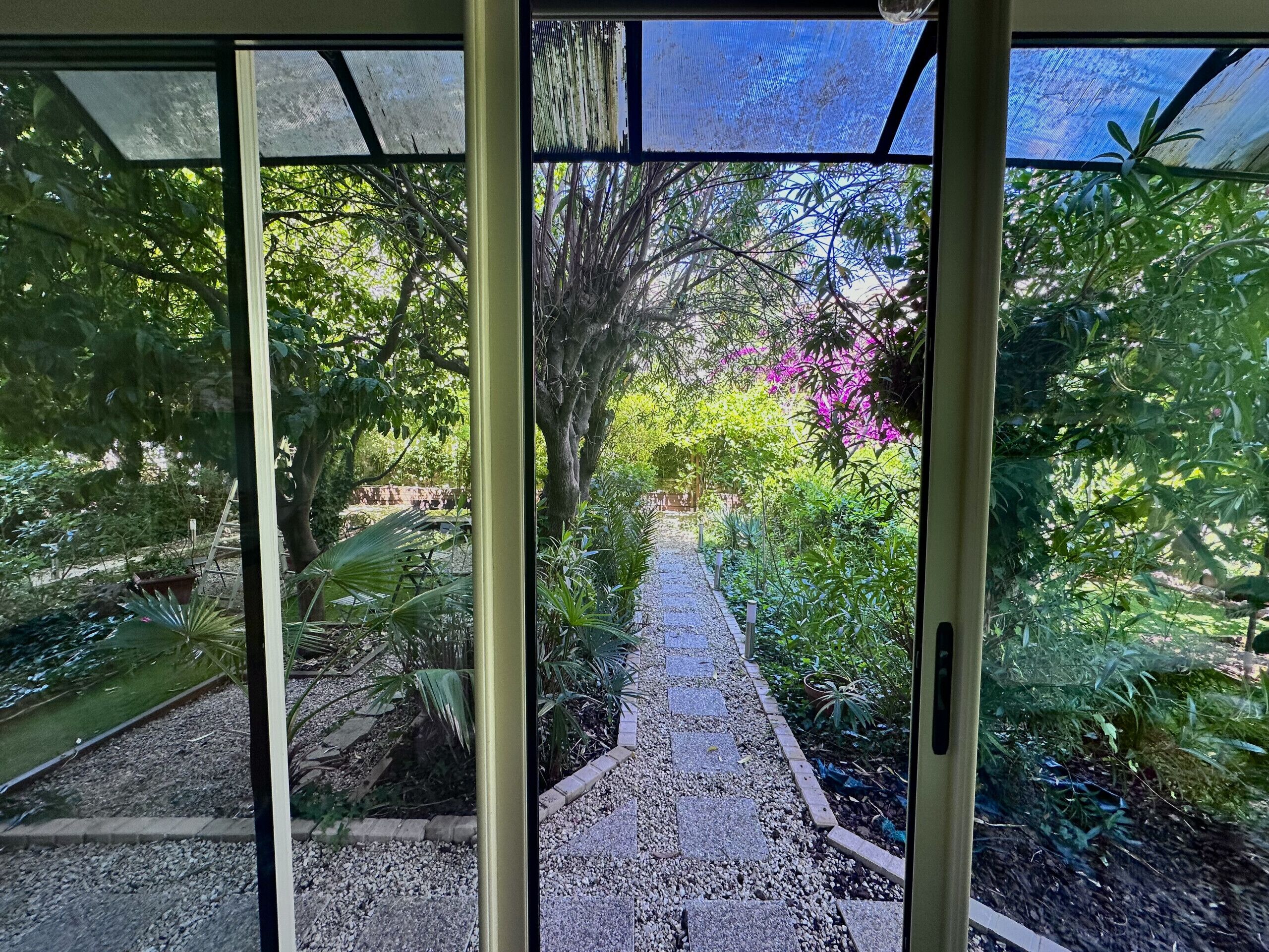 A pathway leading through a lush garden with a variety of plants and trees.