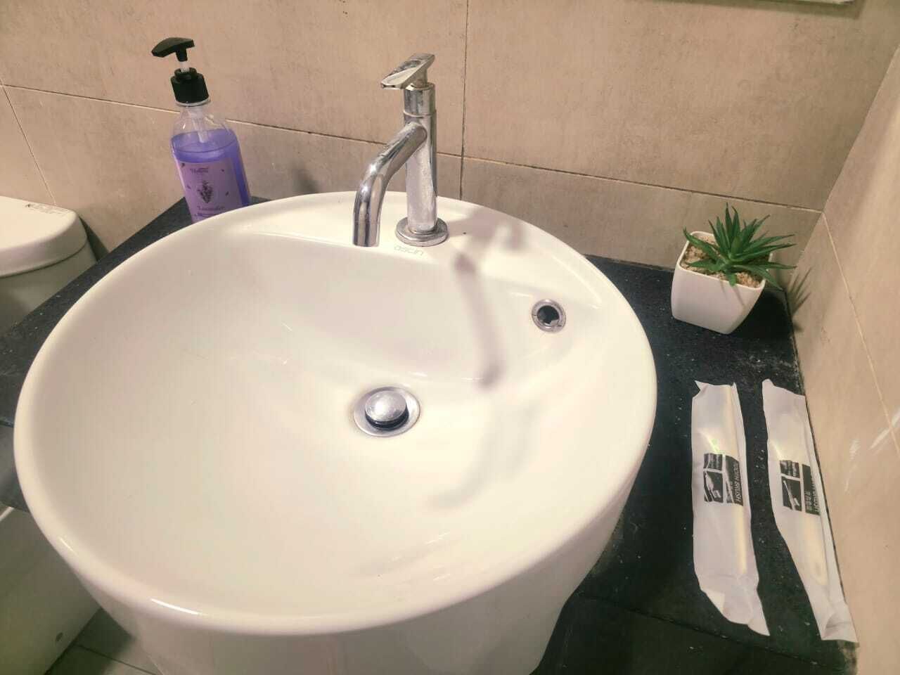 A bathroom sink with a faucet, a soap dispenser, and a small potted plant.