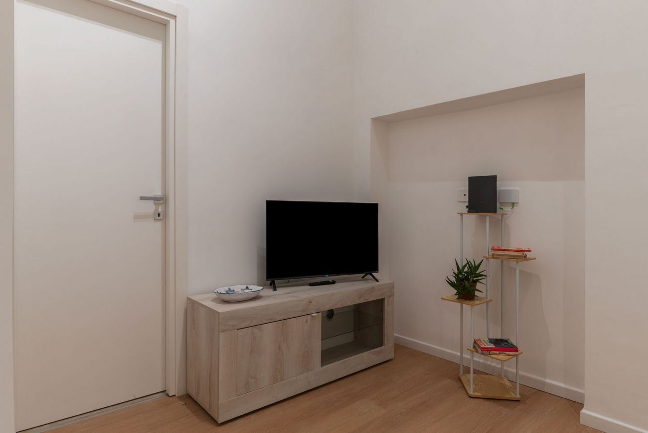 A room with a television on a wooden cabinet, a small plant, and a bookshelf.