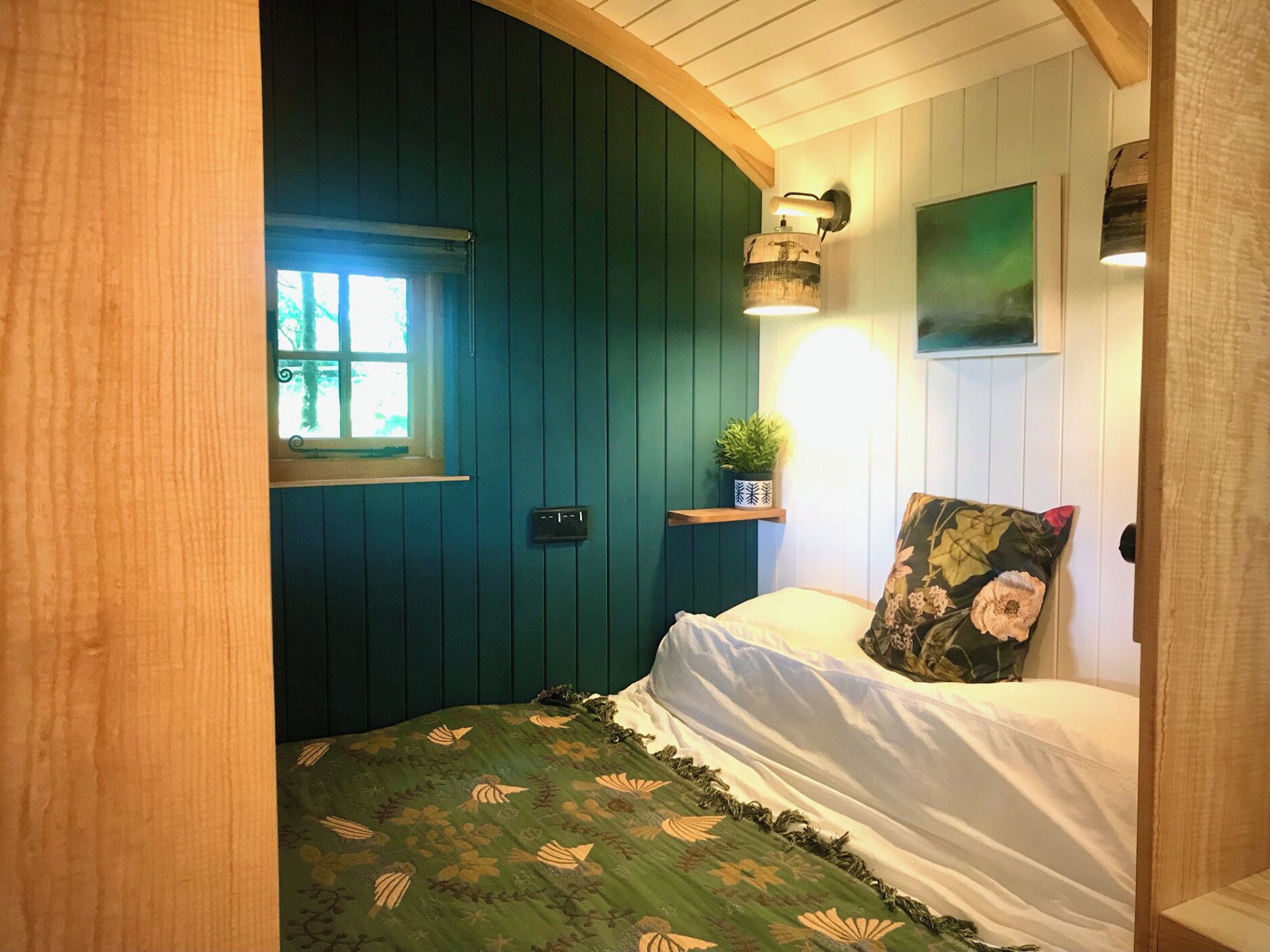 Una habitación con una cama, una ventana, un estante con una planta y una puerta.